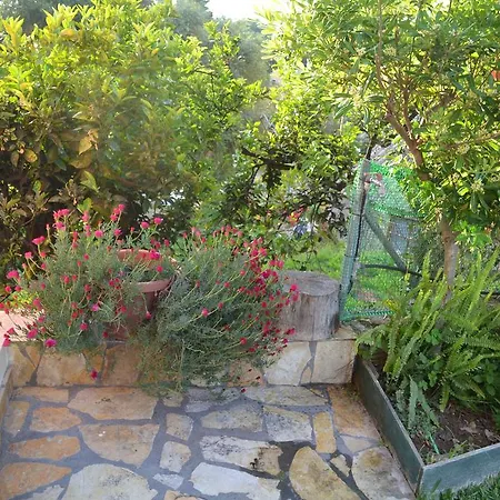 Theofilos Country House * Kompitsion
